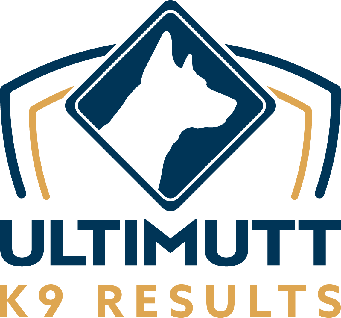 Solving Your Dog's Behavioral Issues